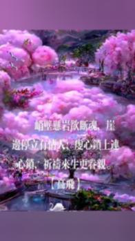 罗晋解读《安家》:徐姑姑很随意,并调侃有戏拍就不错了
